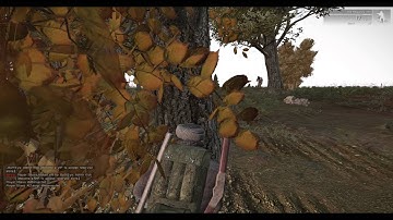 Breaking Point Chernarus Fun/Interesting Fails