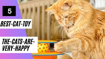 Best Cat Toy 2022 | Top 5 Best Cat Toy The Cats are Very Happy On Amazon