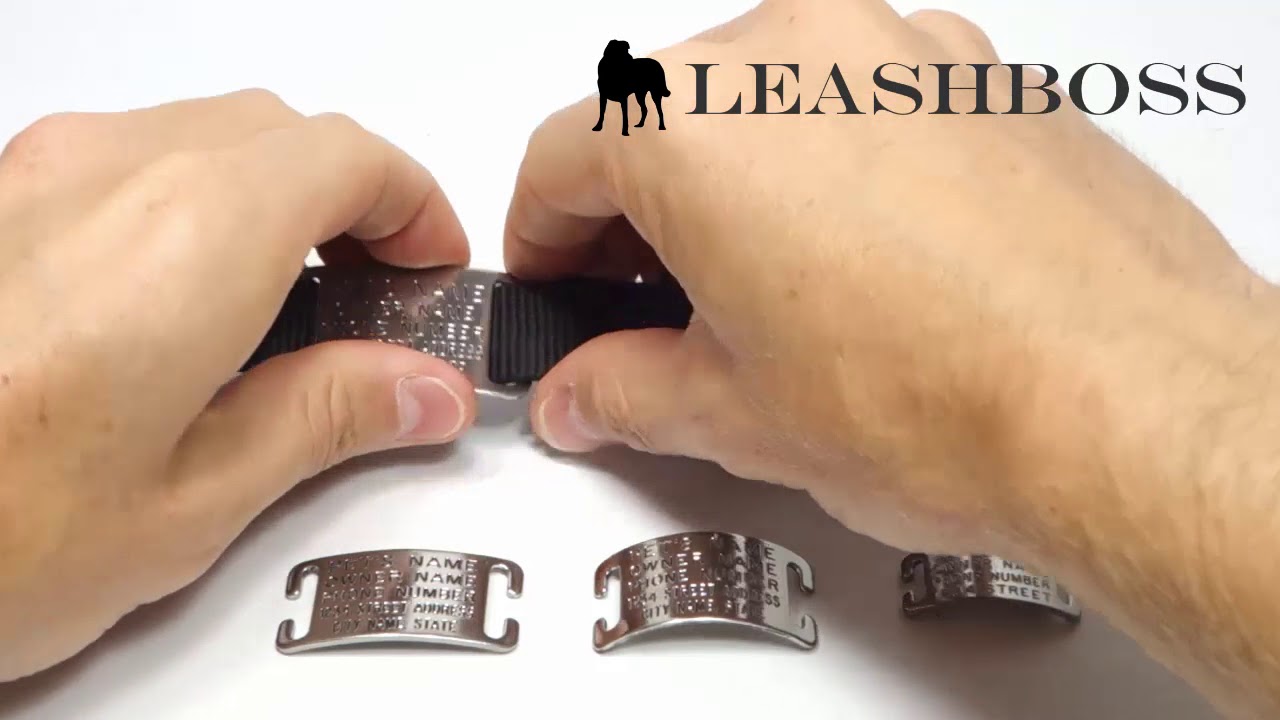 Boomerang Pet ID Tags