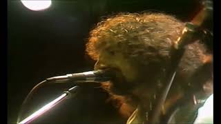 Barclay James Harvest - Sip Of Wine (Live at A Concert For The People, Berlin, 1982)