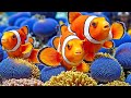 The Best 4K Aquarium - Explore the Stunning World of Sea Jellyfish and Beautiful Coral Reef Fish. #8