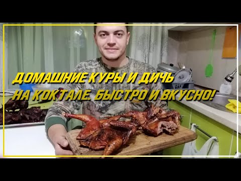 Видео: Маленький, но очень вкусный: рецепт вкусной корнуэльской курицы из дичи