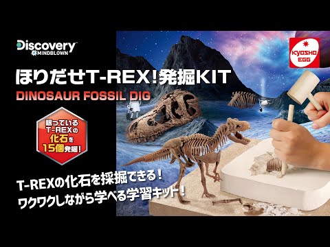 T-REX⭐︎11/15〜20発送不可　様の専用 Amazon.co.jp: キョウショウ エッグ(Kyosho Egg) キョウショウ