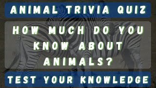 How much do yo know about animals? Animal Trivia quiz with Answers