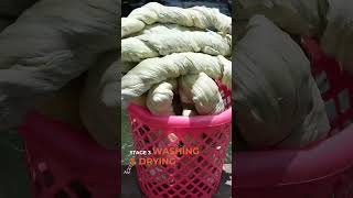 Download Lagu How it Works - Ananas Anam MP3