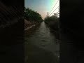 #viral #shorts #farming #nature