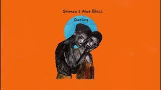 Shimza & Aloe Blacc - Darling (Visualizer) [Helix Records]