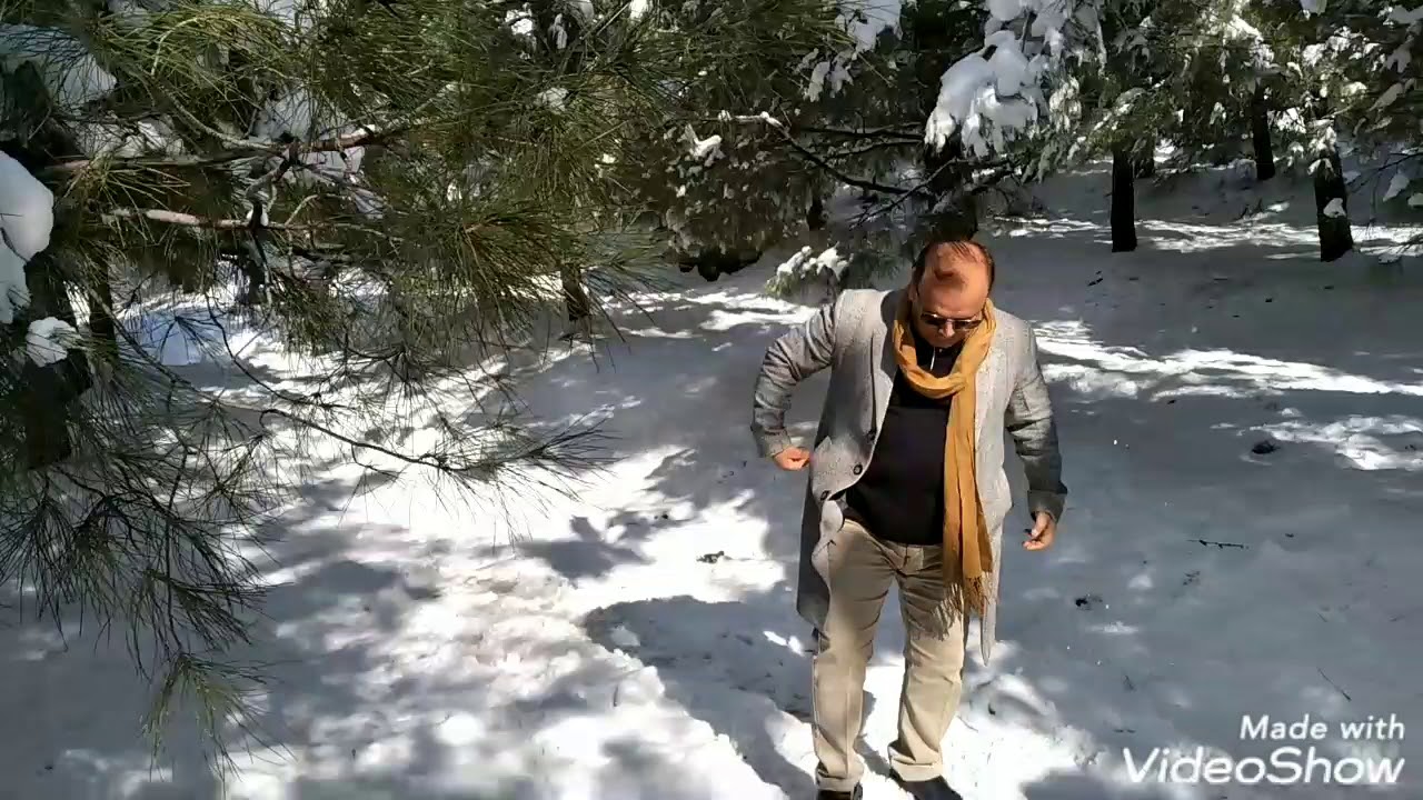 صلاح نجم الدين/كوردستان