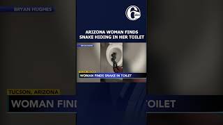 A woman in Arizona came home to a slithering surprise this week 🐍  #news #6abc #snake #snakevideo