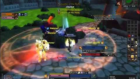 Molten WoW - Holy Paladin and Feral Druid - 2