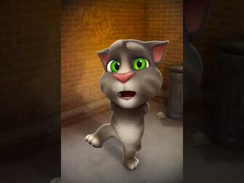 Video: Zranění Ucha Kočky - Zranění Ucha Koček