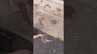 Preschool letter learning activities #homeschooling #preschoolactivities