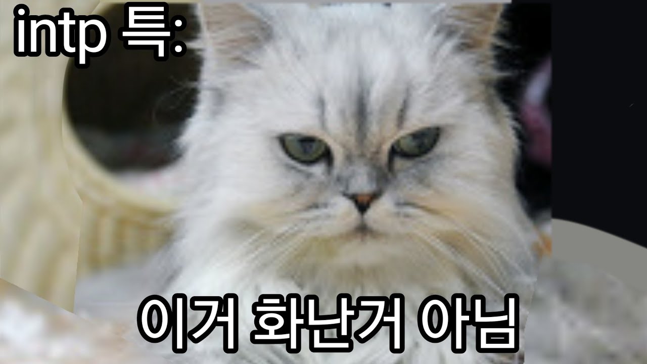 INTP 사용설명서 62. 화난거 아닙니다