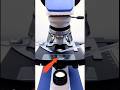 🔬 I Put Rainwater Under a Microscope! 😱