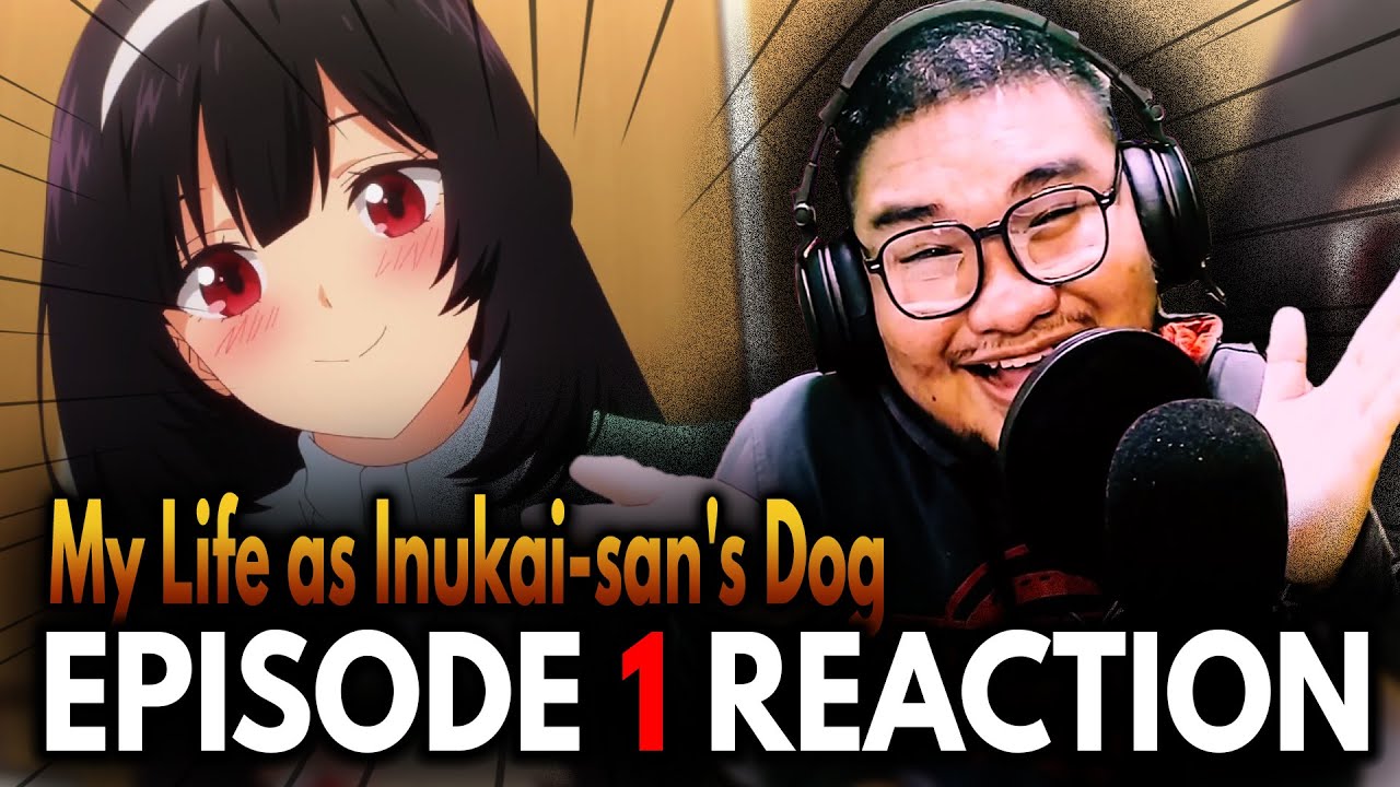 I Have Lots of Questions My Life as Inukaisan's Dog