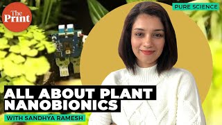 How a spinach plant can send humans e-mail: All about plant nanobionics