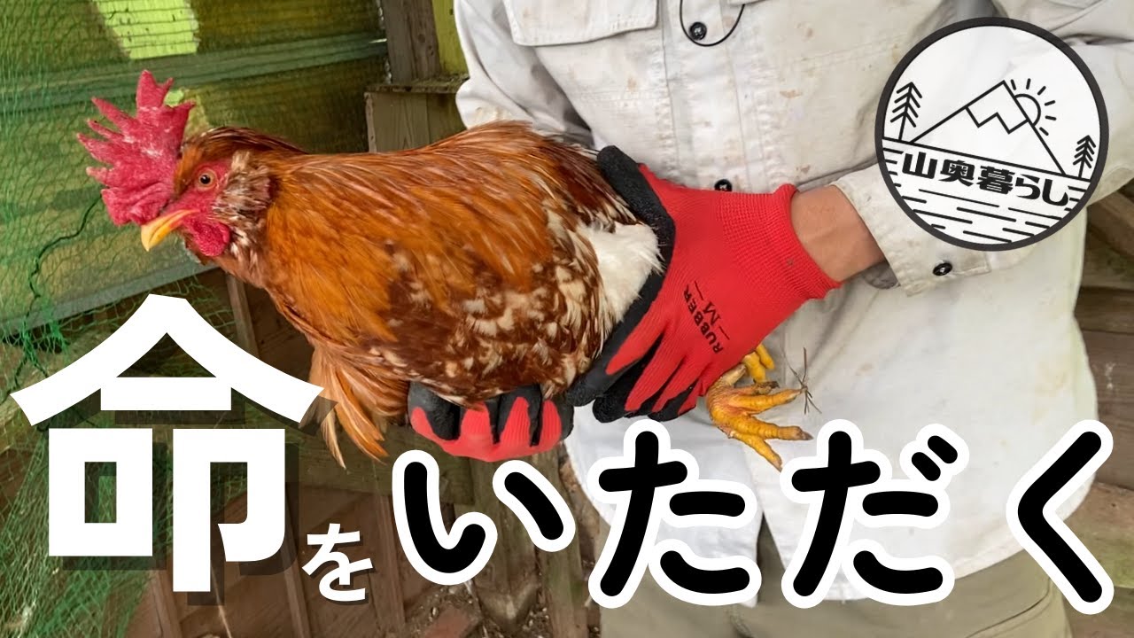 命をいただく日。鶏と暮らす私たちのリアルな食卓