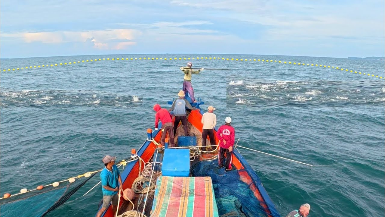 Pukat cincin, Nelayan Indonesia Dapat Banyak Ikan, luar biasa hasil tangkapan nelayan Indonesia