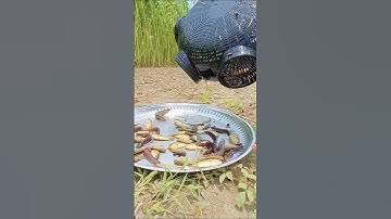 New fishing technique using Chinese equipment #fishingtechniques #fishingequipment #fishing #chinese