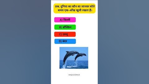 GK Question || GK In Hindi || GK Question and Answer || GK QUIZ GENIUS || GK #shorts #gk