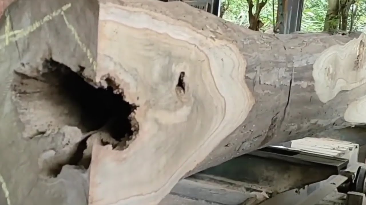 The horror of sawing old teak wood inherited from our ancestors - YouTube