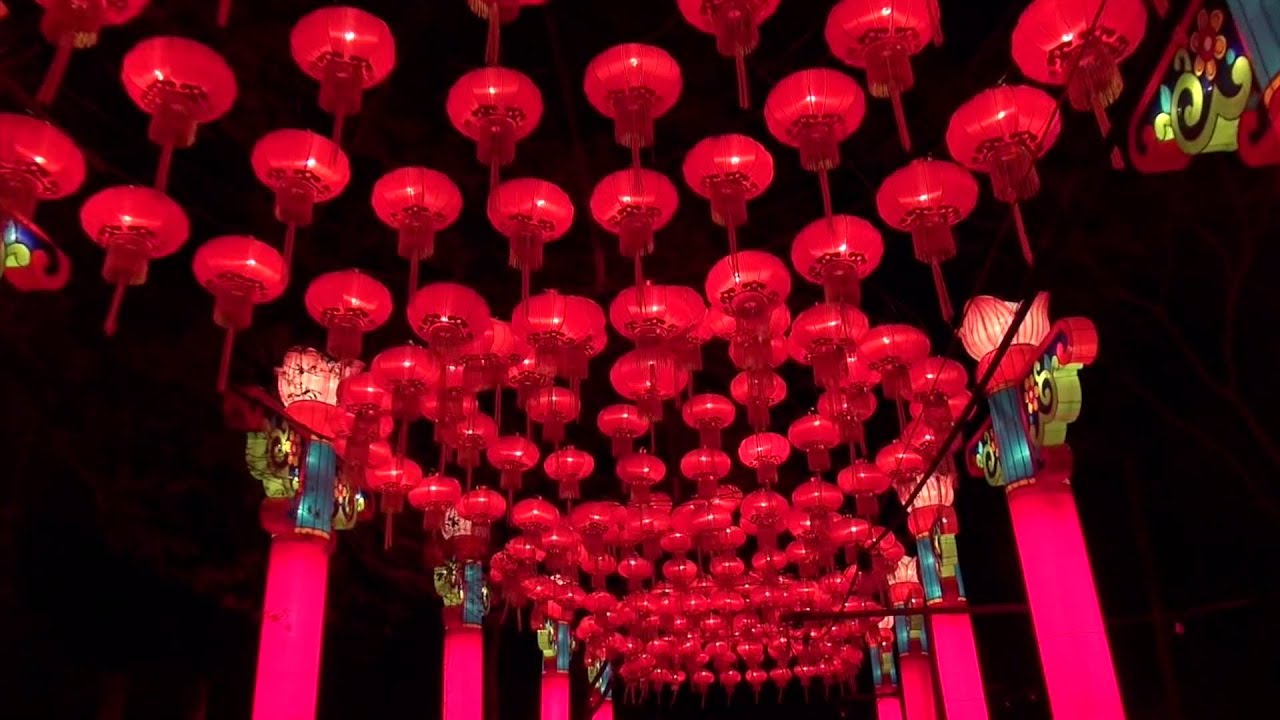 Tampa's Lowry Park Zoo's Zoominations (a Chinese Lantern Festival