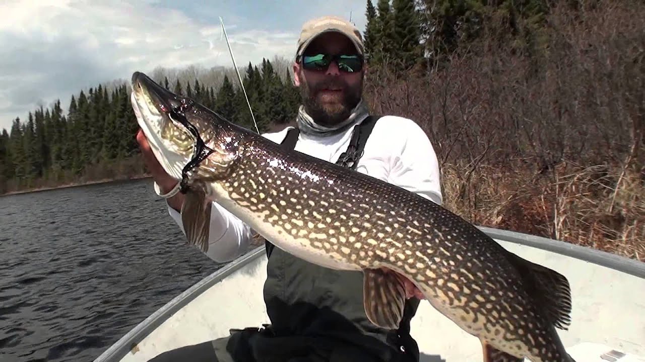 Ontario Fly In Fishing Outposts, Remote Fly in Fishing