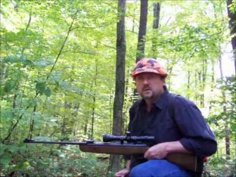 5 Best Air Rifles For Squirrels Small Game 2020 Review air rifles for squirrels small game