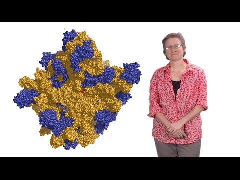 Video: GraphProt: Modeliranje Sklopa Vezivanja Proteina Koji Vežu RNA
