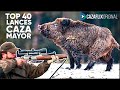 TOP 40 MEJORES LANCES DE CAZA MAYOR 2024 (jabalí, venado, corzo...) | TOP 40 best hunting kill shots