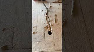  tools/ Parkett reparieren/ Parkett schleifen/ Holz Diele reparieren/ Parkett ölen wachsen/ sägen
