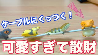 【散財】可愛い爬虫類のガチャガチャをフルコンプした結果…！【はちゅこっと】