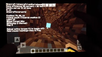 Minecraft Bedrock Debug F3 Menu From Java. Add-on
