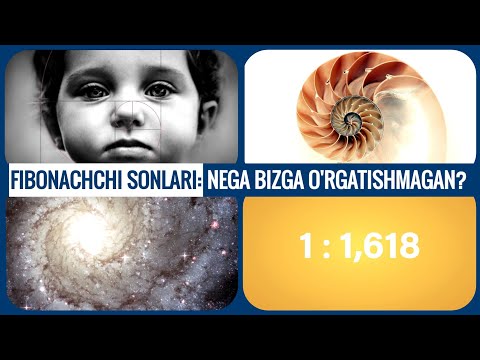 Video: Matematikada Fibonachchi nima?
