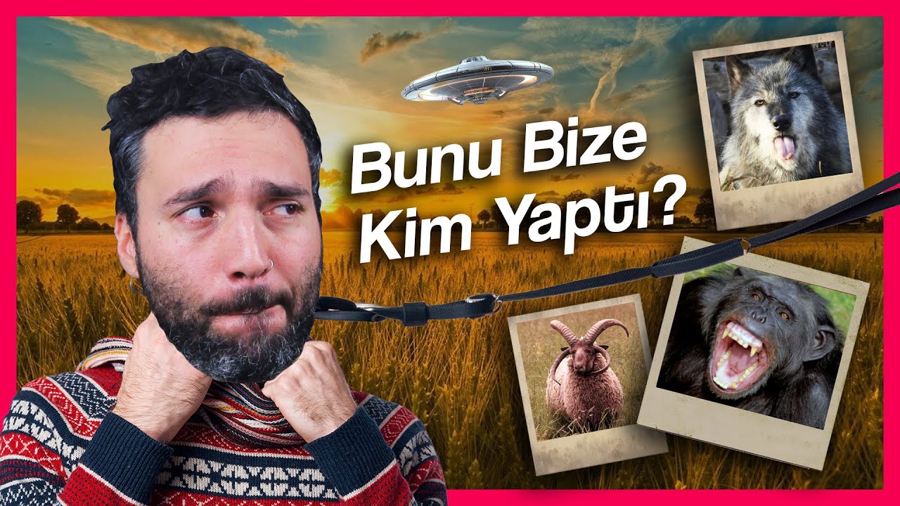 Evcilleştirildiniz: Hani İpler İnsanlığın Elindeydi?