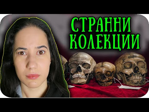 Видео: Кои са най-необичайните рекорди от „Книгата на рекордите на Гинес“