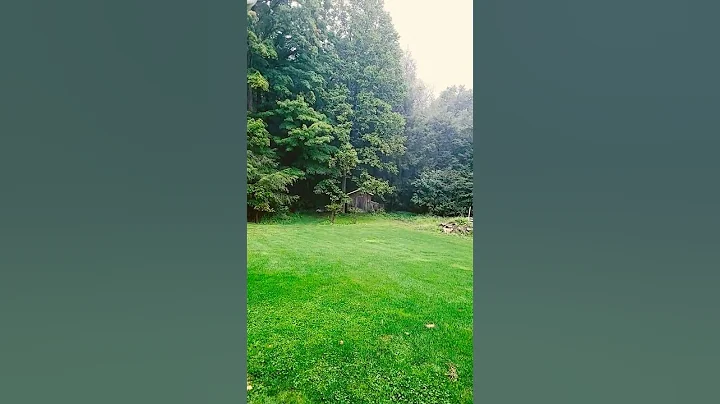 Rain Sounds