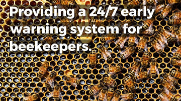 Learn more about ApisProtect