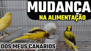 VEJA porque fiz essa mudanças?....