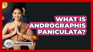 What Is Andrographis Paniculata?