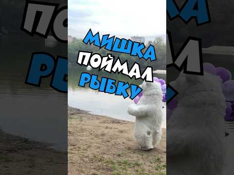 Мишка рыбачит на тортик 🍰 Поздравление белого медведя #деньрождения #праздник #дочка