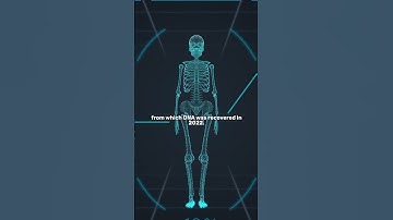 The Body Found In The Alaska Triangle