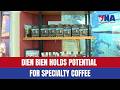 Dien Bien holds potential for specialty coffee
