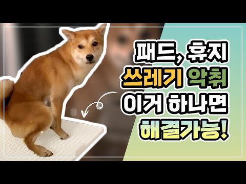 배변패드 쓰레기와 악취 해결하고 싶다면 COME