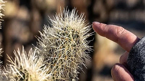 7 worst types of people in Arizona - ABC15 Digital