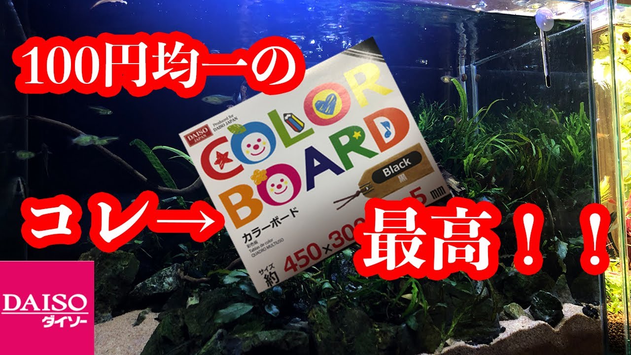 水槽の置くだけバックスクリーン 100円均一 最高 ダイソーの カラーボードをバックパネルに使おう アクアリウム動画 Youtube