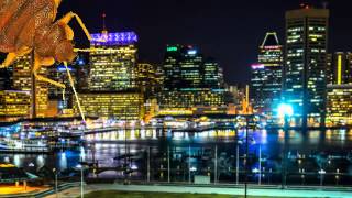 Pest Control Services | Bel Air, MD – Atlas Exterminator