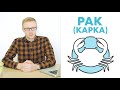 ЗНАКИ ЗОДИАКА: РАК / КАРКА (ДЖЙОТИШ)