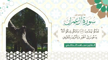 تلاوة خاشعة ماتيسر من سورة آل عمران - مجاهد الخالدي