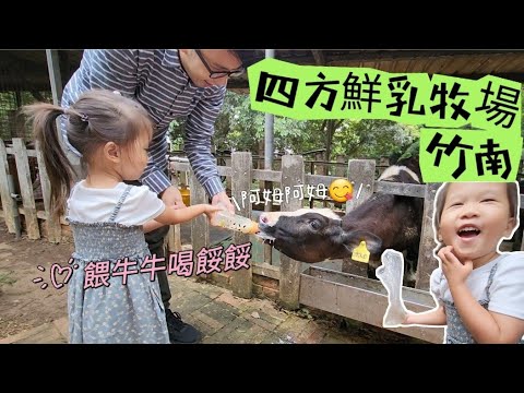 〔苗栗景點〕簡單玩。輕鬆半日遊。四方鮮乳牧場。竹南